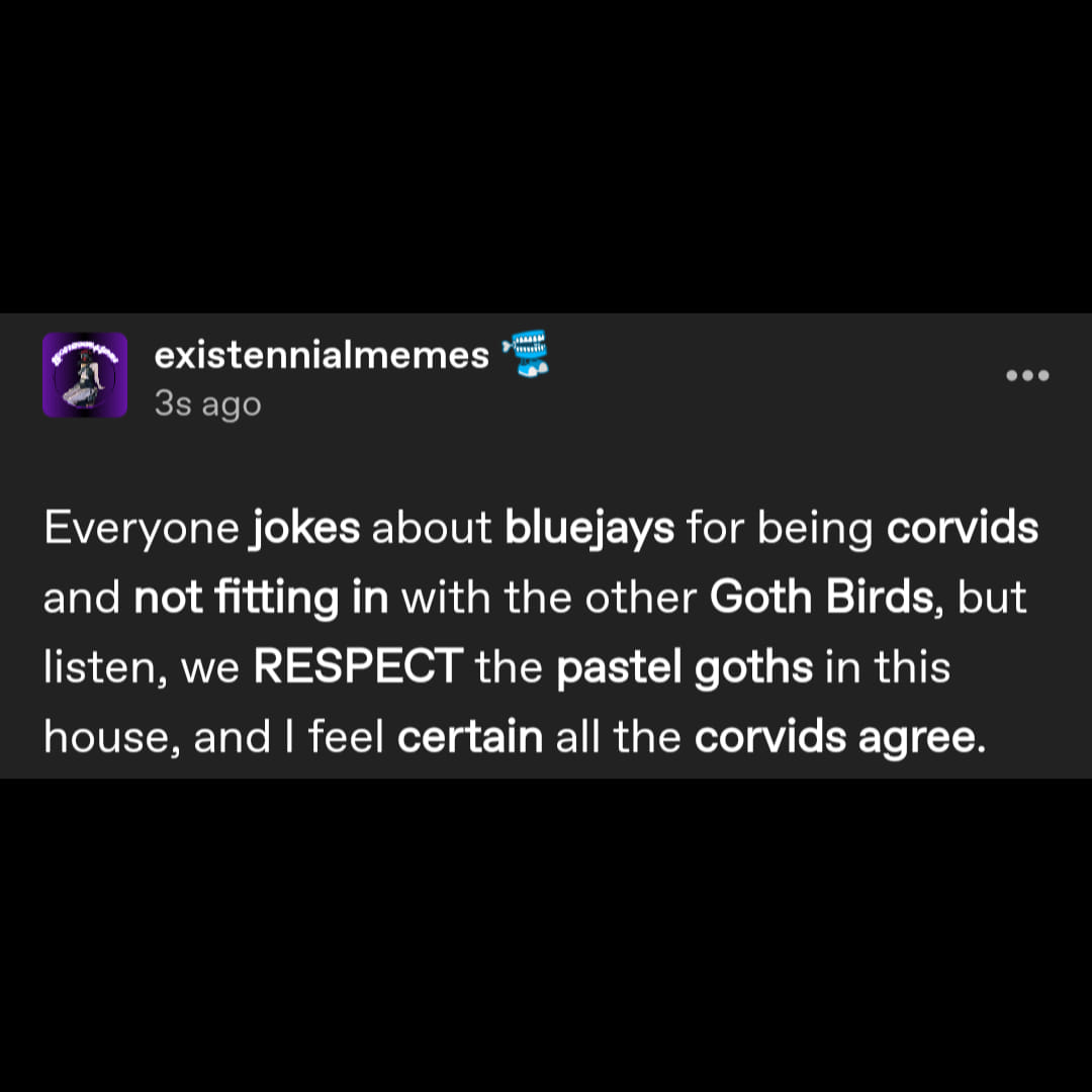 a tumblr post by user existennialmemes reading Everyone jokes about bluejays for being corvids and not fitting in with the other Goth Birds, but listen, we RESPECT the pastel goths in this house, and I feel certain all the corvids agree.